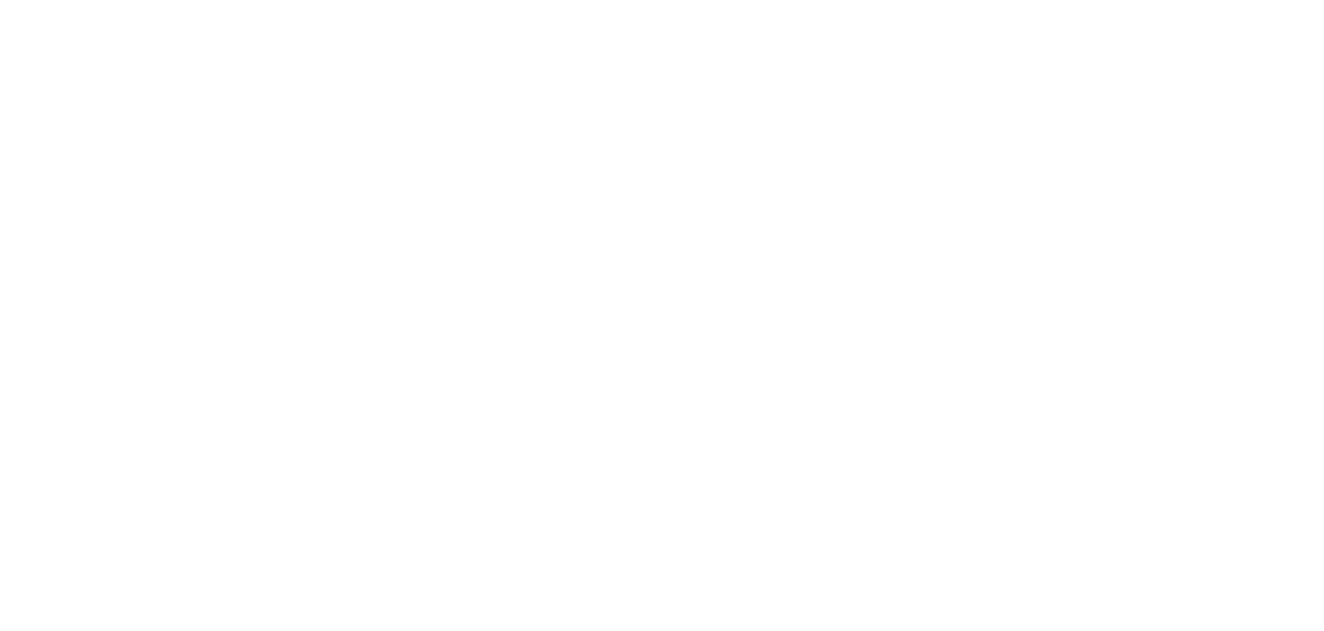 Antalya City Guide logosu — Negatif beyaz