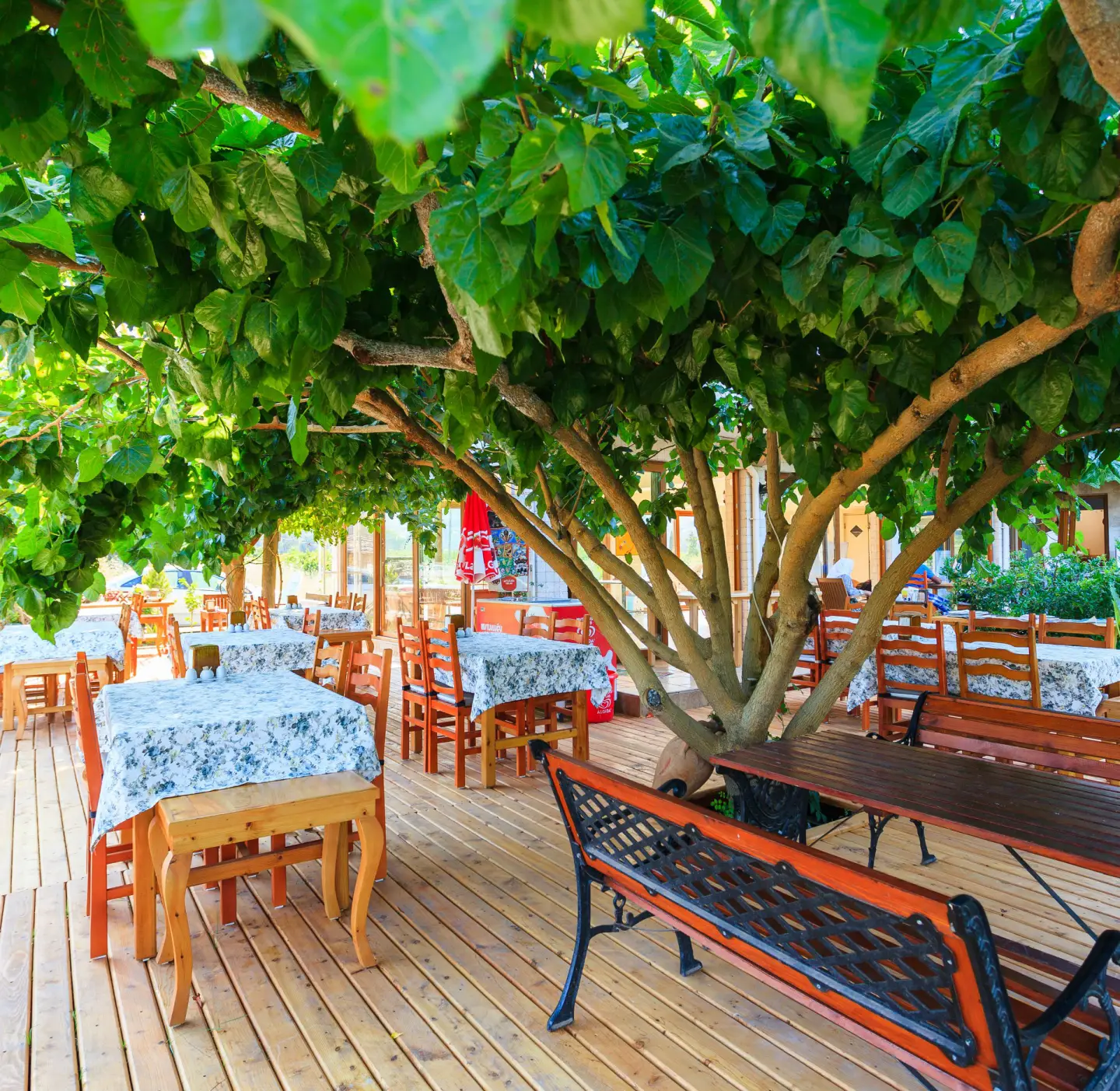 Ağaç gölgesinde ahşap zeminli açık hava restoran terası, çiçek desenli örtülü masalar ve ferforje banklar